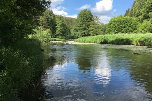 Gewässerstrecke 3