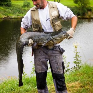 Raubfischhegefischen2014-3