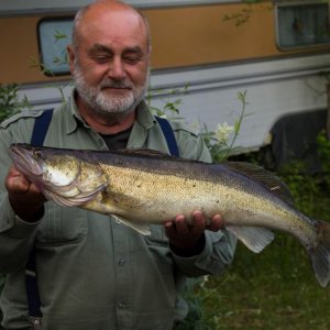 Zander_006_2015